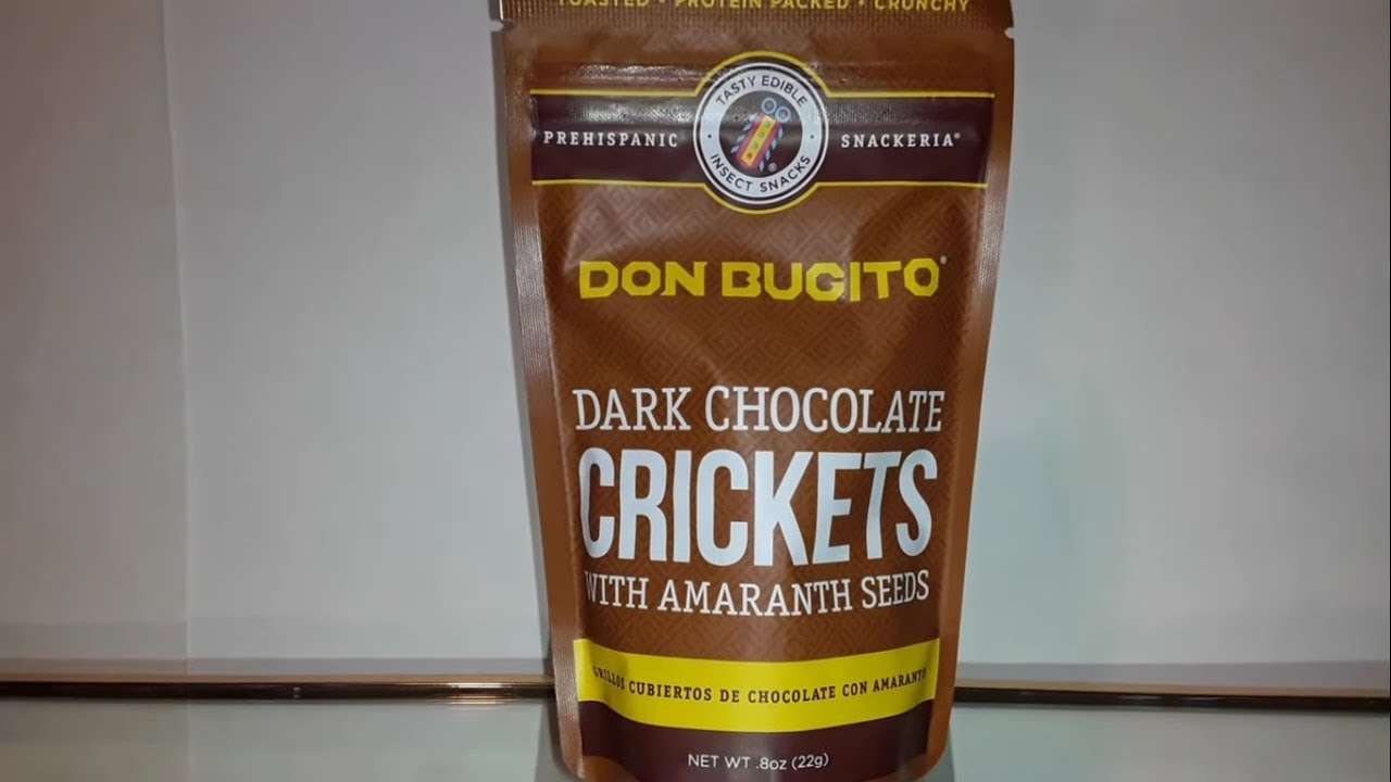 Taste Testing Chocolate Covered Crickets