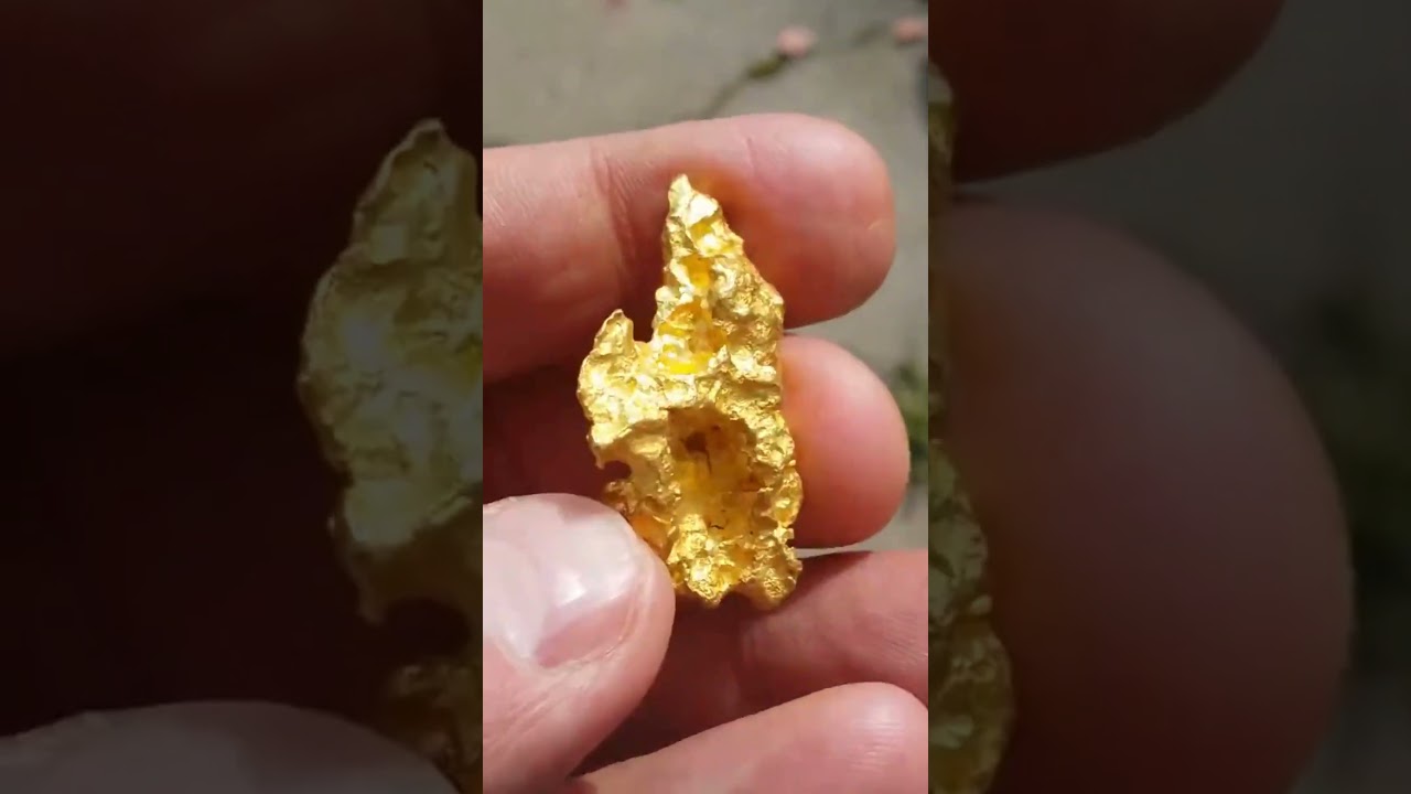 Super Beautiful Western Australian Gold Nuggets. #shortsvideo #shorts