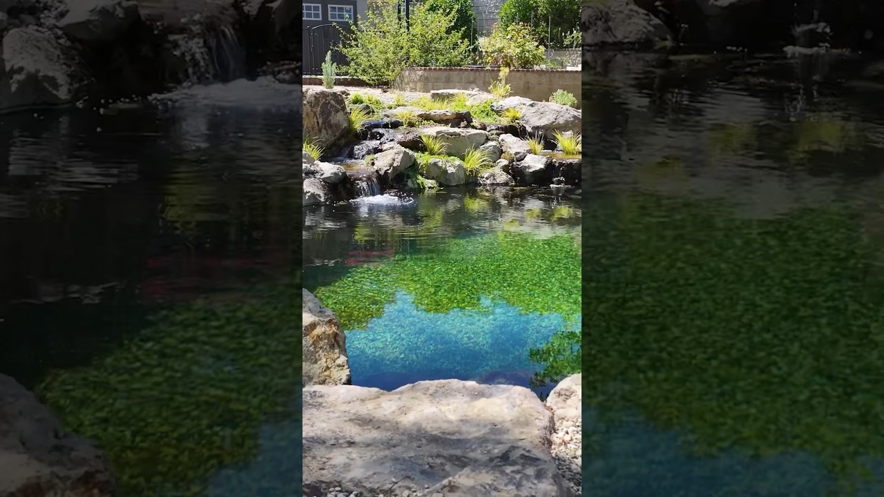 Build me the Perfect Swimming Pool ☀️ #landscapedesign #pooldesign #outdoorliving #backyard