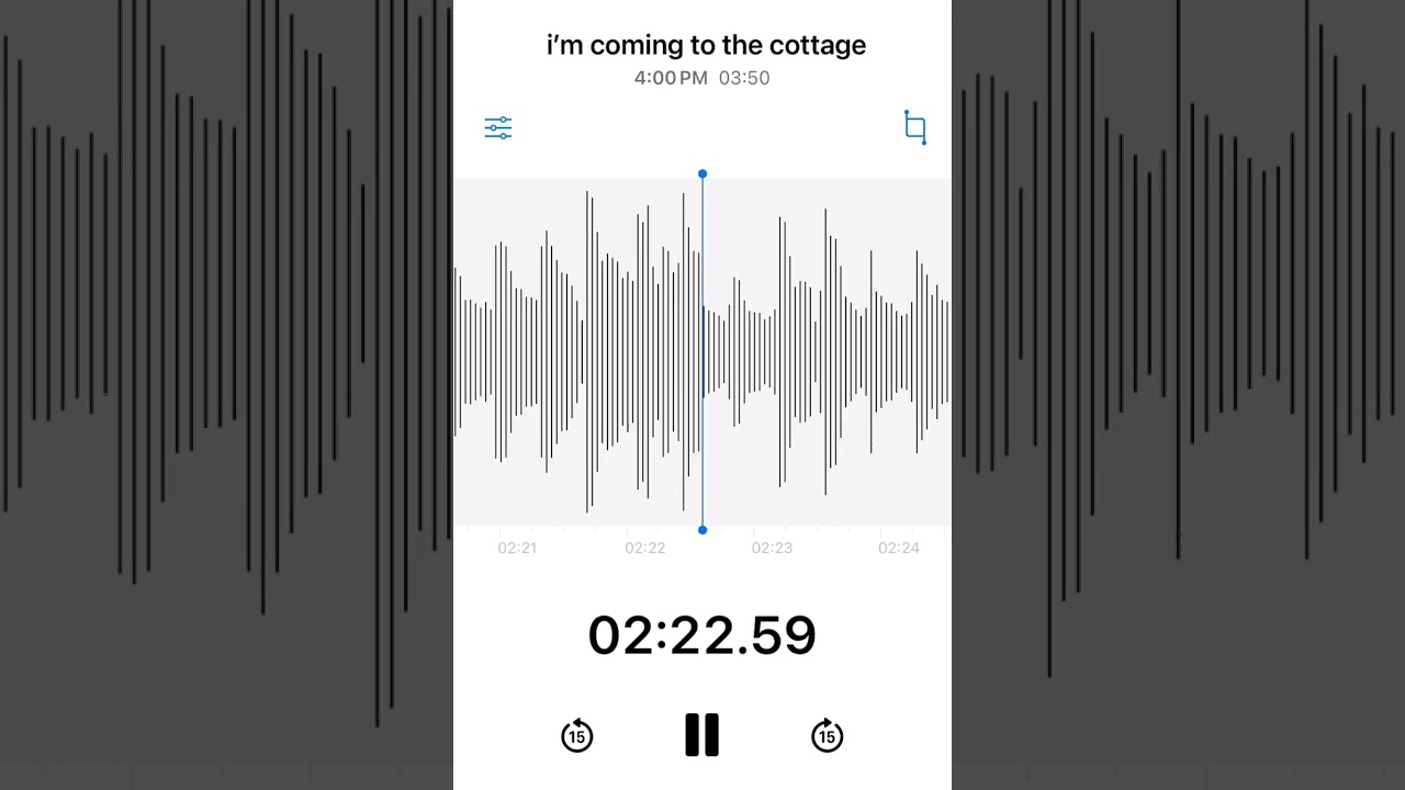 i’ll believe in anything on voice notes (cover)
