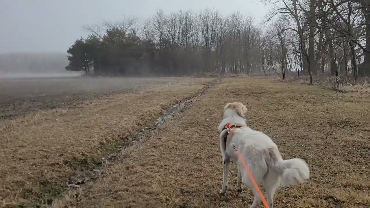 Walking with Jesus- please.
