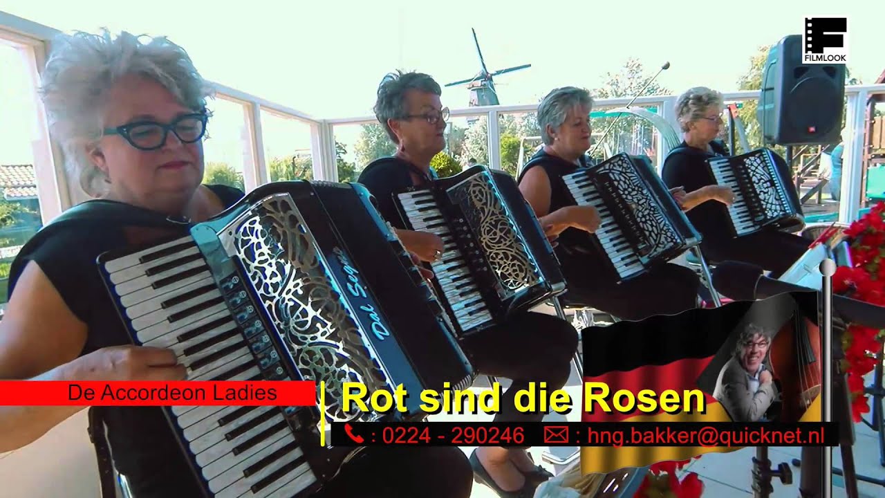 Rot sind die rosen