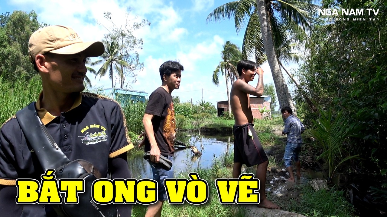 Vua Khỉ Săn Bắt Ong Vò Vẽ Mùa Nước Nổi Miền Tây/NGÃ NĂM TV