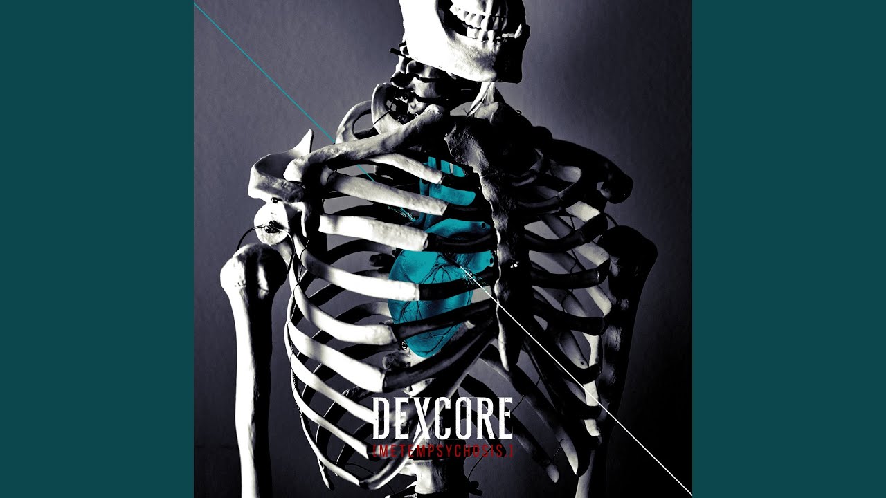 magnet (2020 Ver.)