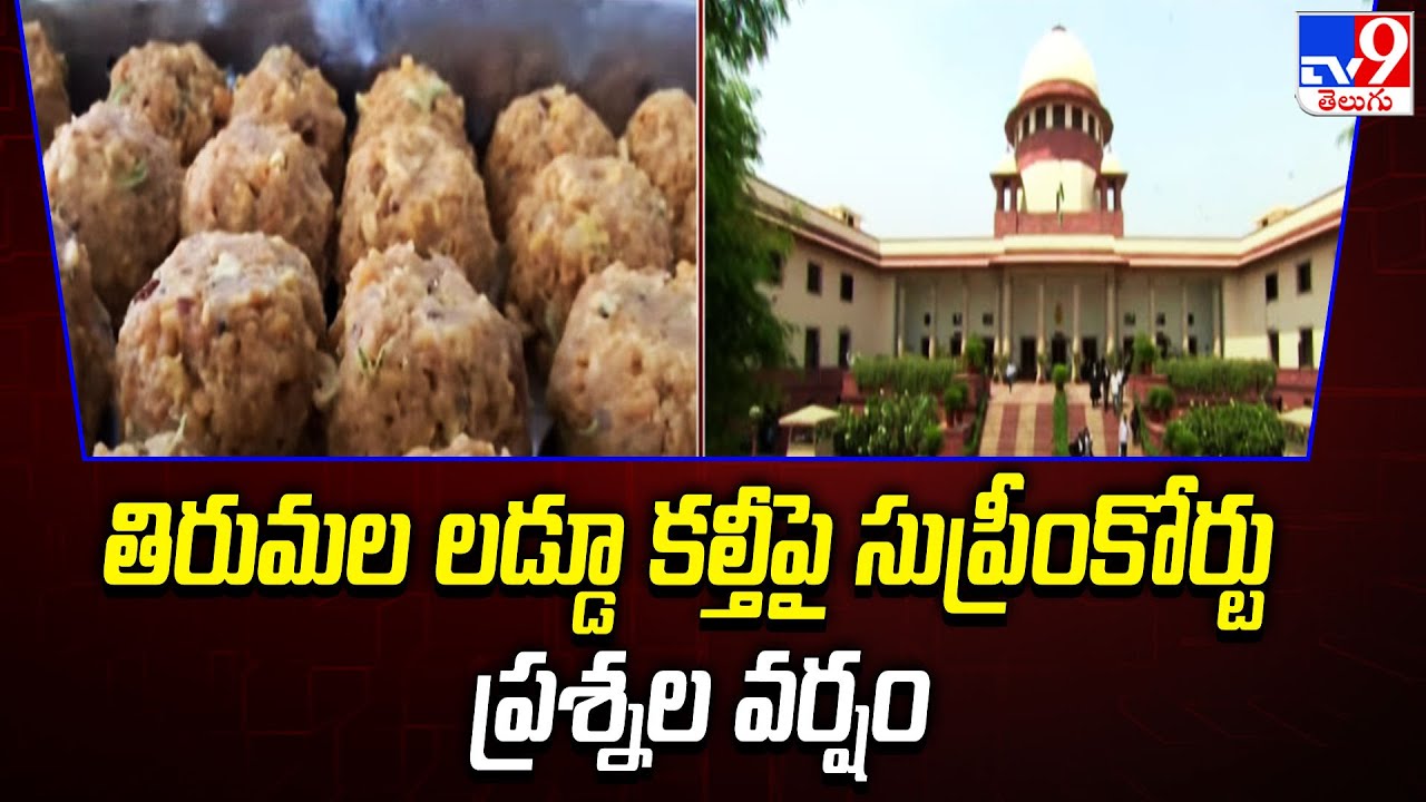 తిరుమల లడ్డూ కల్తీపై సుప్రీంకోర్టు ప్రశ్నల వర్షం | Supreme Court | Tirupati Laddu Row Updates - TV9