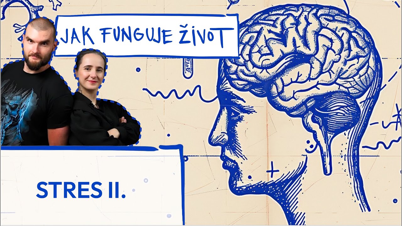 Stres, tuk a kortizol: proč kortizol mění postavu a co s tím
