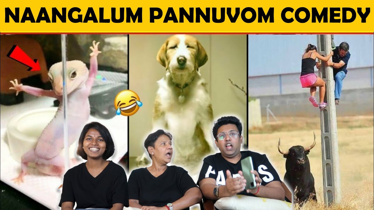 விலங்குகள் செய்த  காமெடி சம்பவங்கள்😂|| Funny Animals || Ramstk Family@MYSTERIOUSWORLDTAMIL