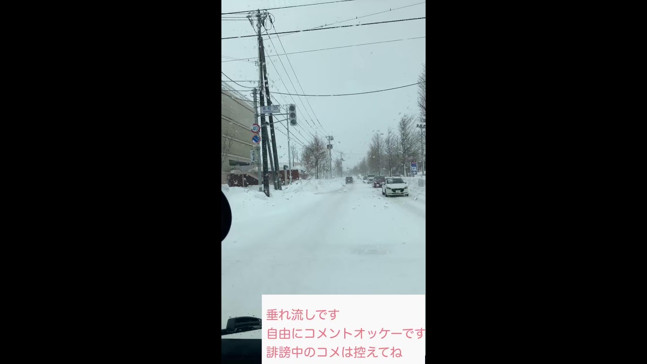豪雪やばい