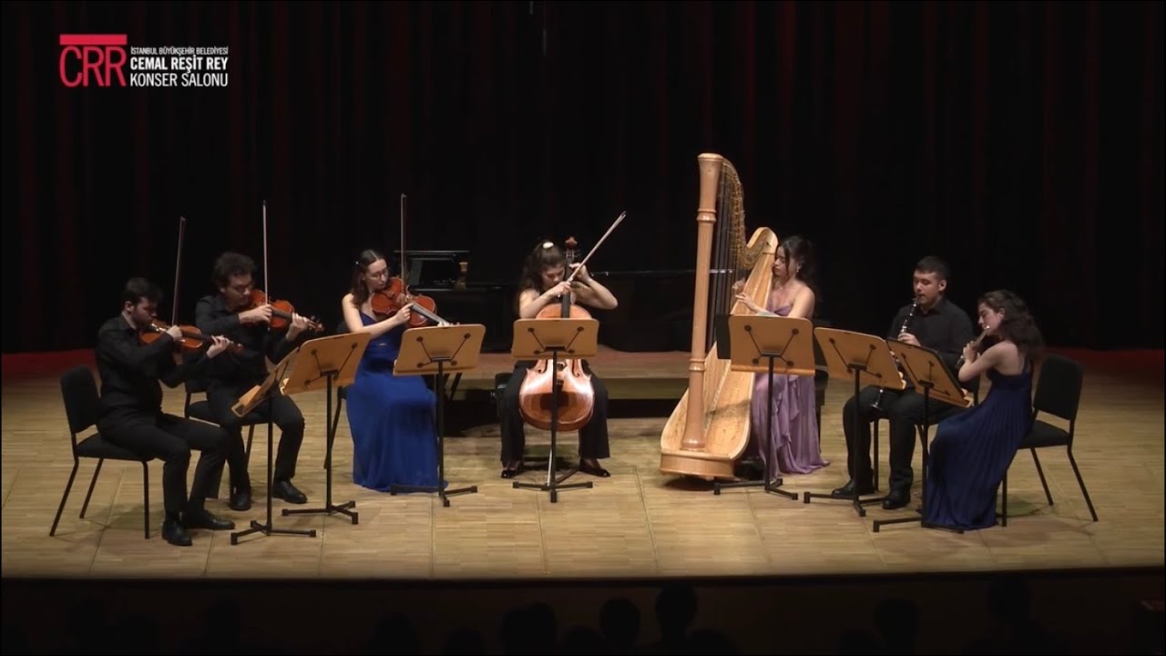Zeynep Göktürk (Arp) M. RAVEL 'Introduction et Allegro' MSGSÜ ARP SANAT DALI