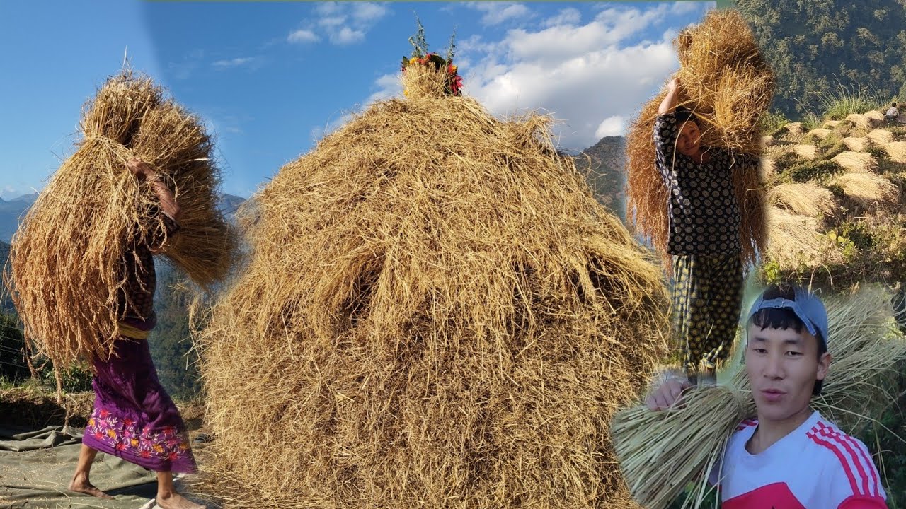 3 Janale Lagai Sakiyo Dhanko Bitta Belaima