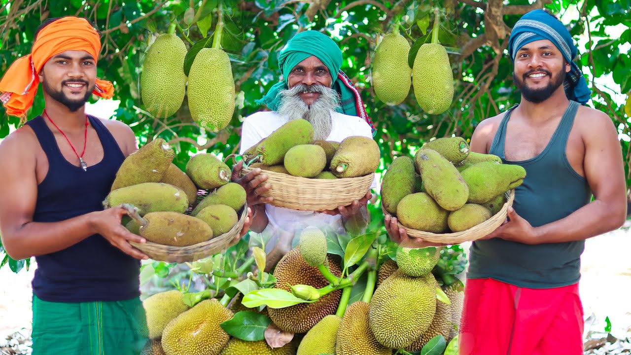 Jackfruit Chilli Recipe ଚିଲ୍ଲୀ ପଣସ Panasa Tarkari | Delicious JACKFRUIT Recipe For Village Children.
