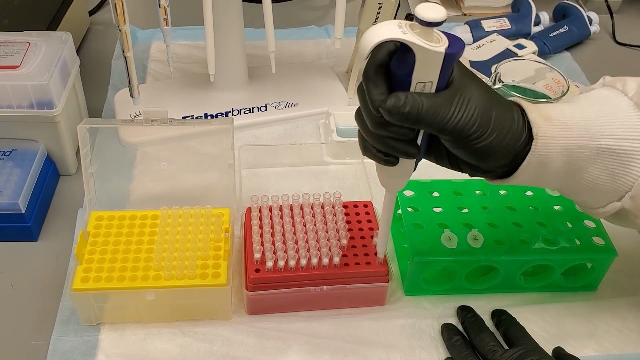Pipetting Tutorial