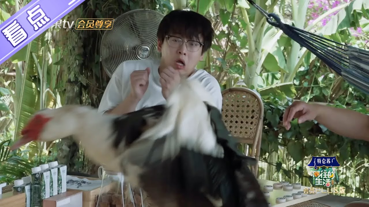 未播花絮：蘑菇屋象棋大赛！彭彭又被彩灯欺负得“惊吓三连”？《向往的生活4》 第9期 Back to field S4【芒果TV生活风尚频道】