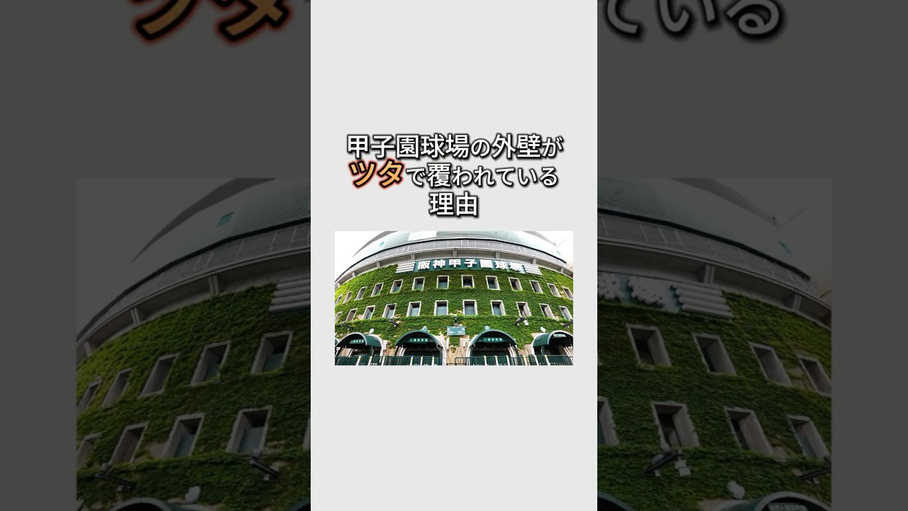 【雑学】阪神甲子園球場の外壁がツタで覆われている理由！ #1分雑学 #甲子園球場