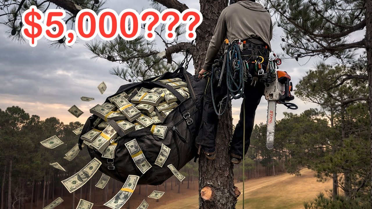 Things YOU NEED to be a PROFESSIONAL tree climber! | what’s in my bag!