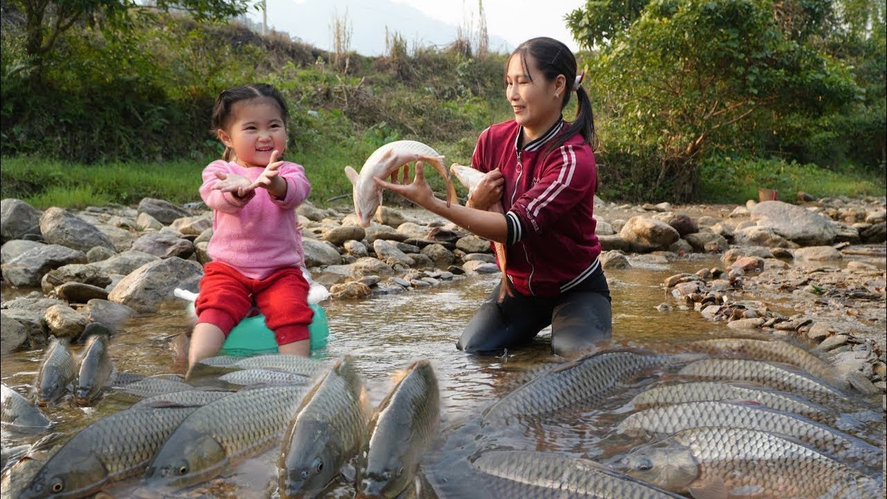 How to trap wild carp and harvest pond fish for sale - Building a farm in the forest - Lý Thị Sa