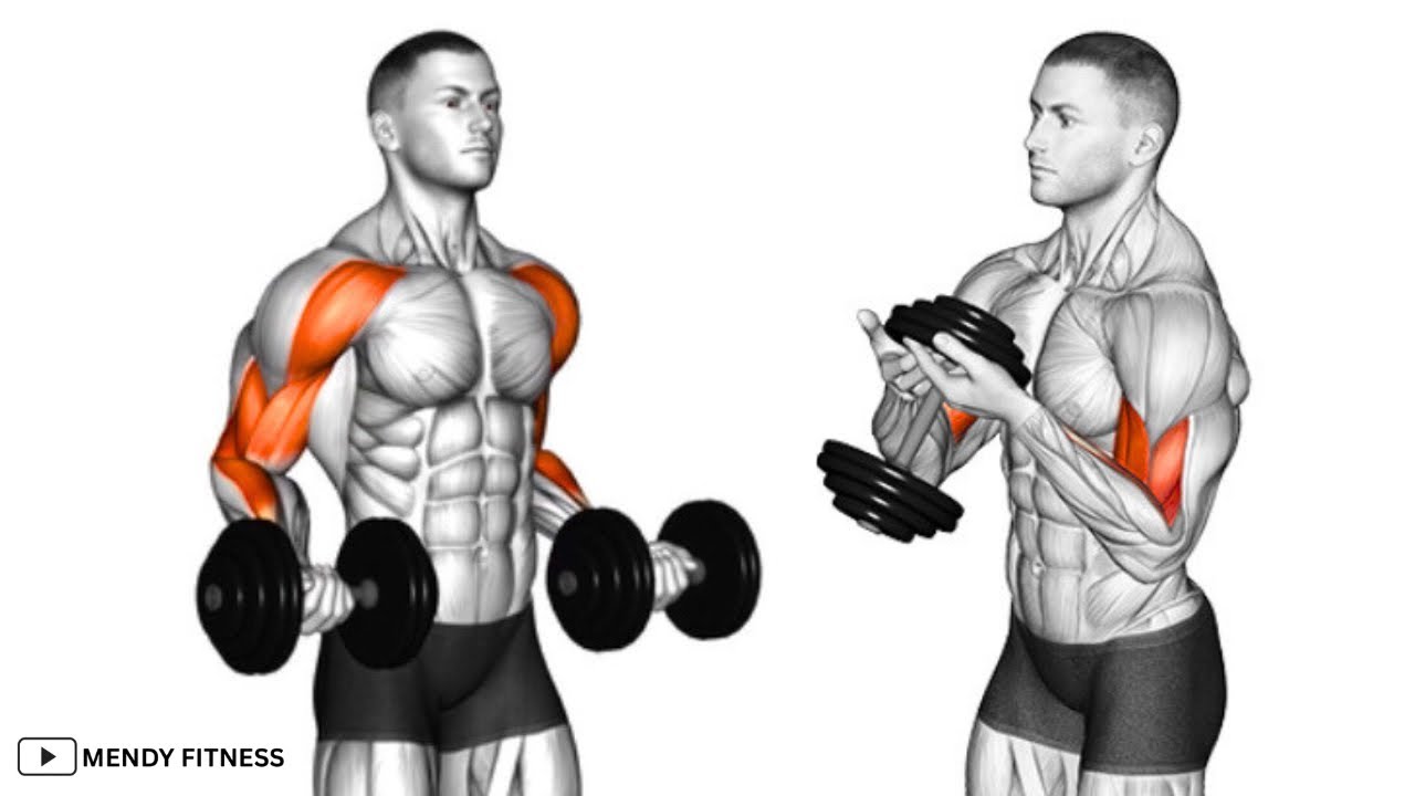 Best Biceps Exercises You Should Be Doing (Dumbbell Only)