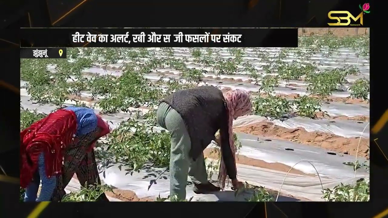 झुंझुनूं में गर्मी से भरे 'मार्च' से किसान परेशान
