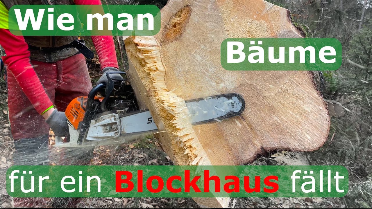 Wie Man Bäume fällt