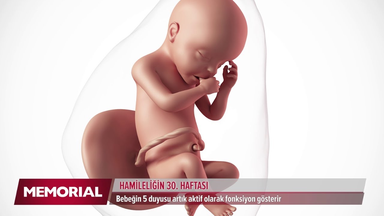 30 haftalık gebelik d&ouml;neminde neler oluyor?