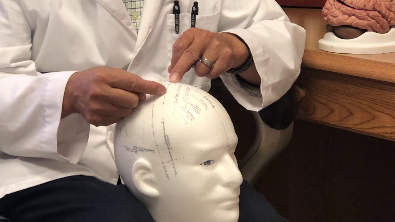 Neuro-Acupuncture Institute