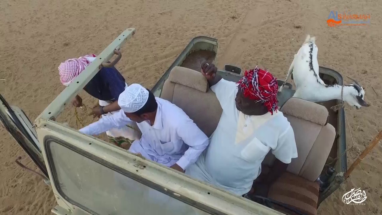 يوميات راعي الكحيلة 