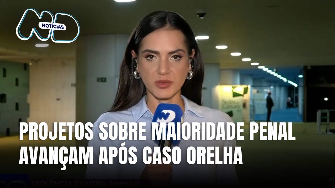 Projetos sobre maioridade penal ganham força após caso Orelha em SC