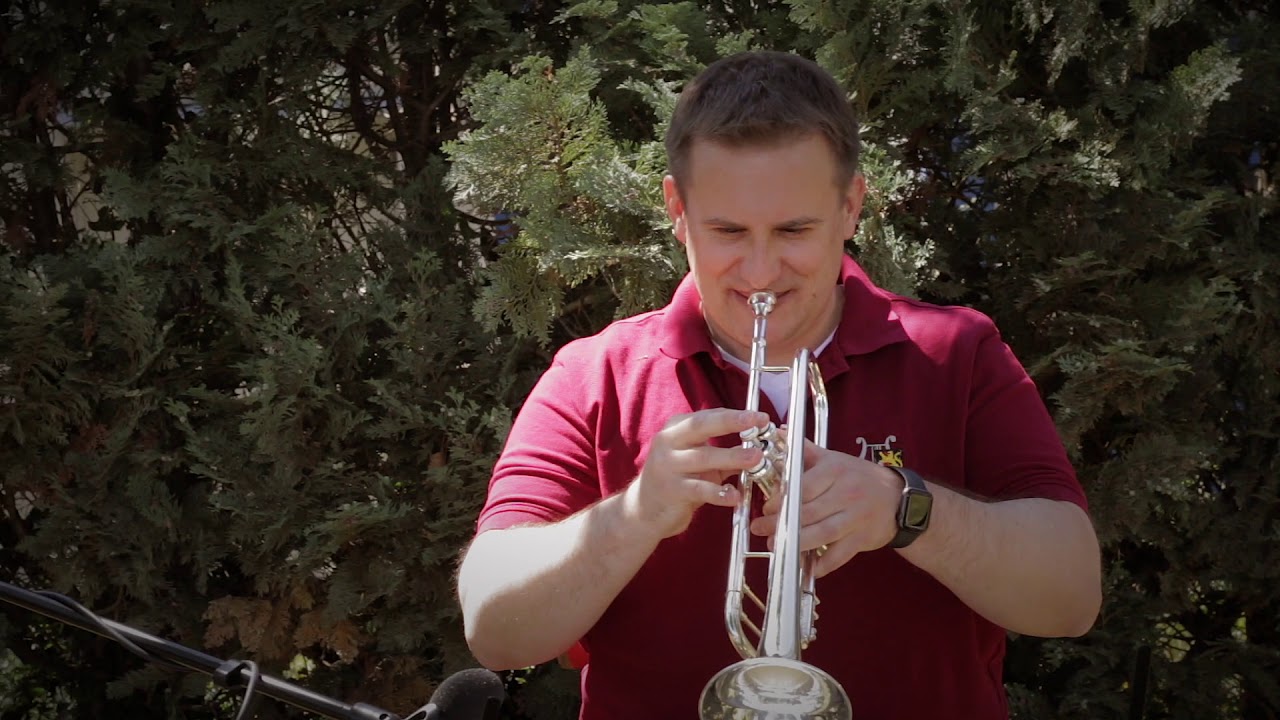 Auf, ihr Brieder in die Palz! (Corona Eddischn)