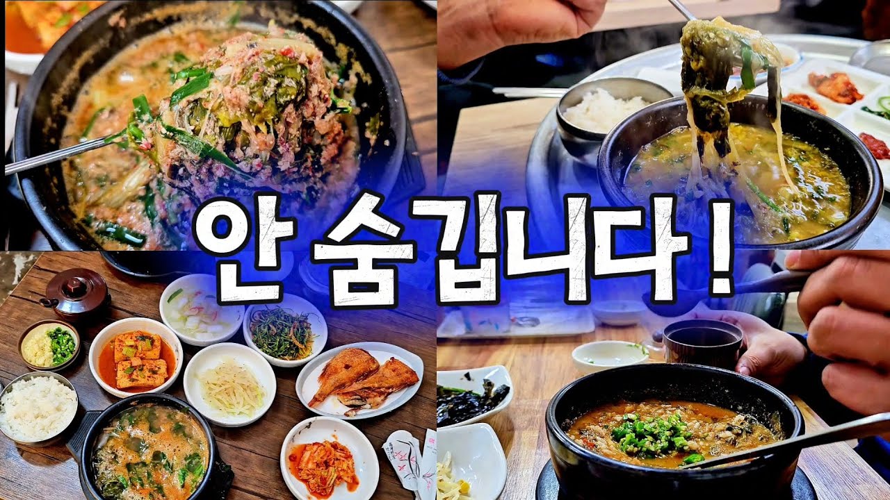 미꾸라지 안 숨깁니다, 부산 찐 추어탕 맛집 3곳