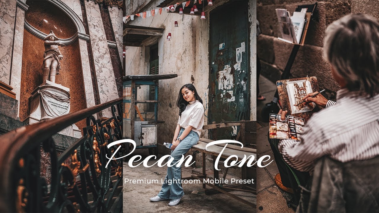 Pecan Tone | Lightroom editing | Lightroom Mobile Preset Free DNG
