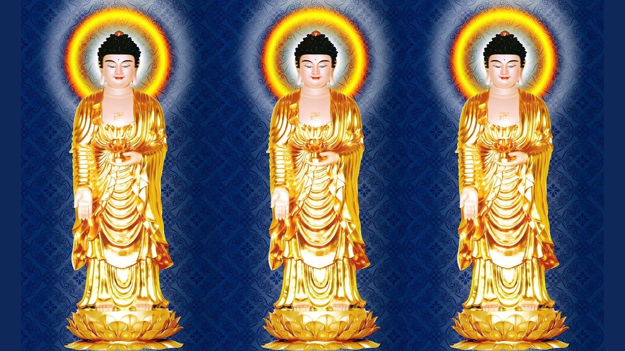 [🔴] TRỰC TIẾP: THỜI KHÓA TU TỐI 18H00 - 19H40