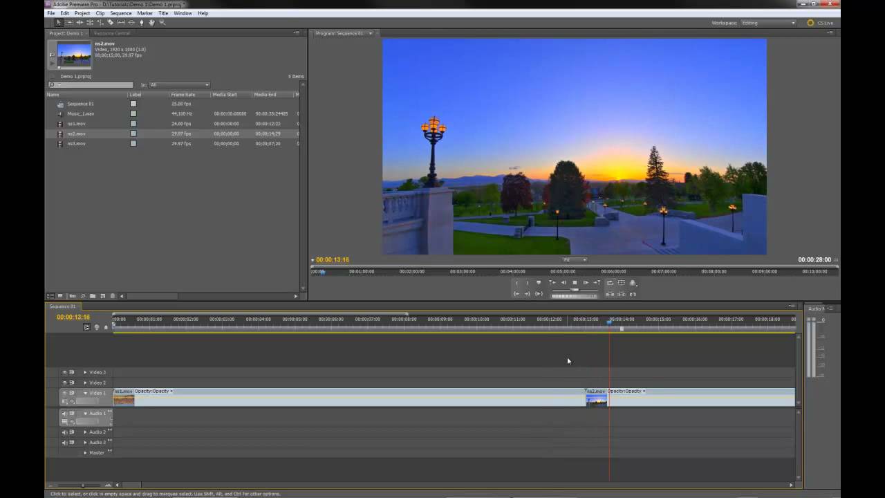 Premiere Pro: Introduction