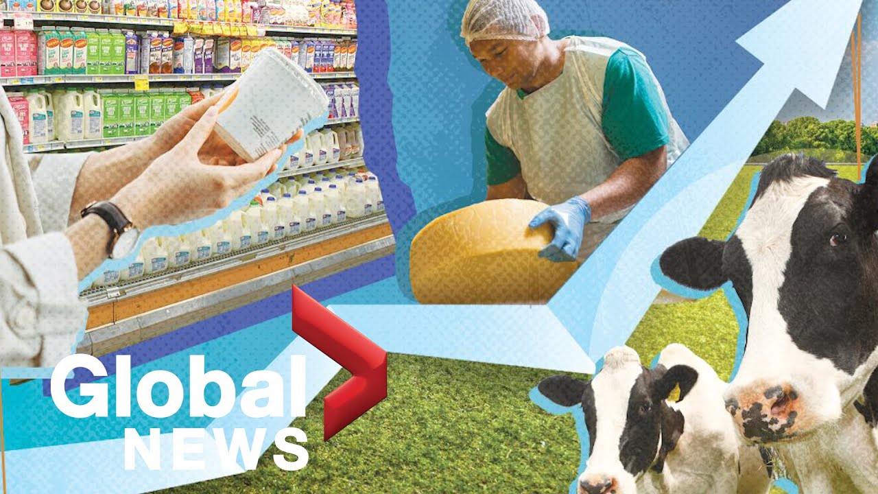 Canada's surging dairy prices expected to soar even higher in 2022