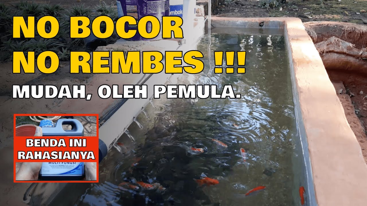 KOLAM IKAN #3 Langkah Pembuatan Kolam Ikan Sederhana oleh Pemula Tanpa Bocor dan Rembes !!!