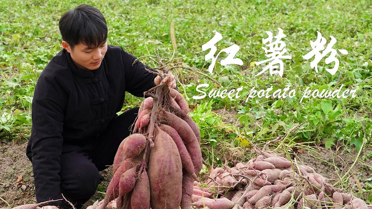 Country boy makes handmade sweet potato flour｜地瓜豐收，做一碗純手工地瓜粉，享受冬日裡嗦粉的快樂｜龙弟很忙