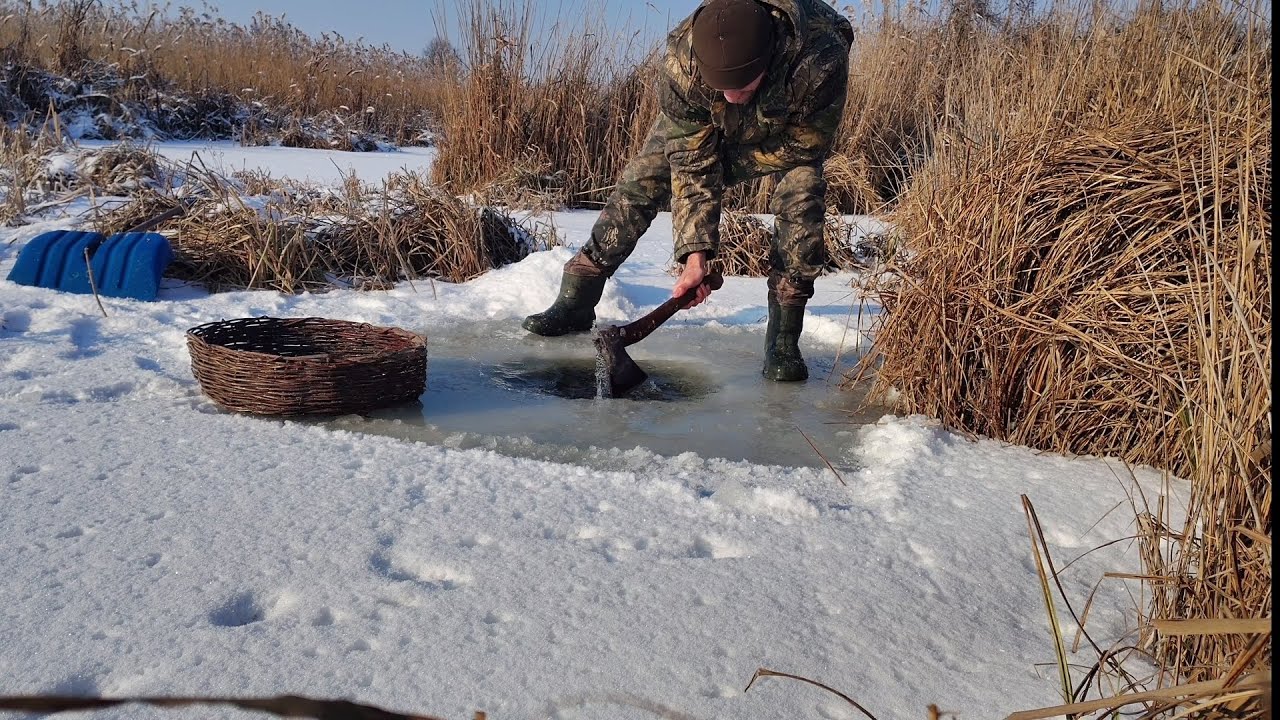 Старий метод ловлі риби 🐟🐟🐟@життязприродою 