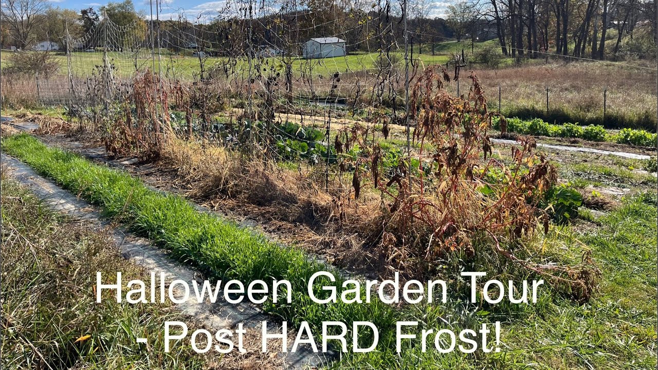 Halloween Garden Tour! Post HARD Frost 
