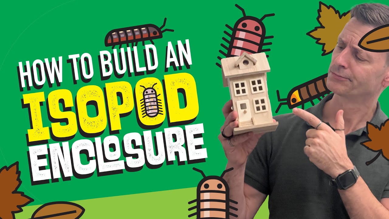 Isopod Enclosure Guide | Let’s build a Home!