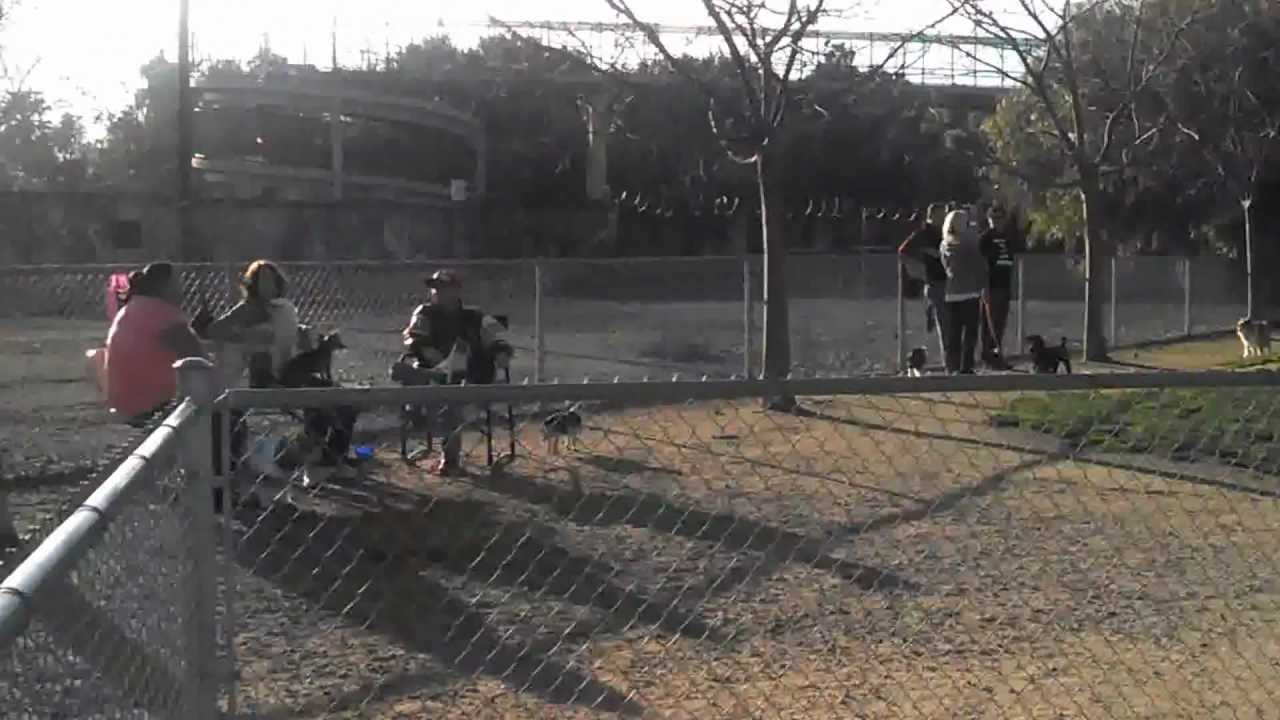Santa Clara Reed St Dog Park (Small Dog Side)