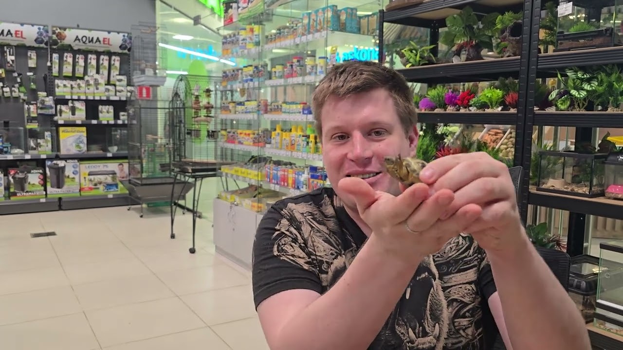 Среднеазиатская сухопутная черепаха 🐢 ! Невероятная милаха. )))
