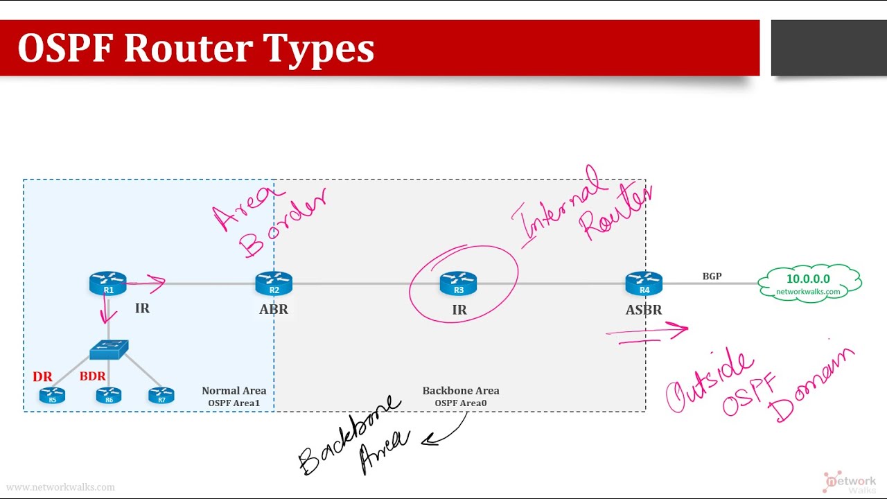 OSPF Router Types