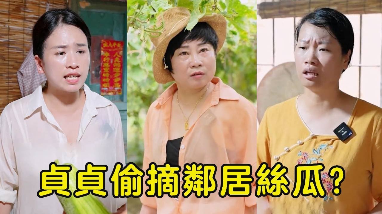 貞貞買完絲瓜到鄰居地裡幫婆婆抓雞，怎料被路人看到誣陷貞貞偷絲瓜，下秒貞貞拿出證據對方倉皇而逃！【贞贞的英雄】