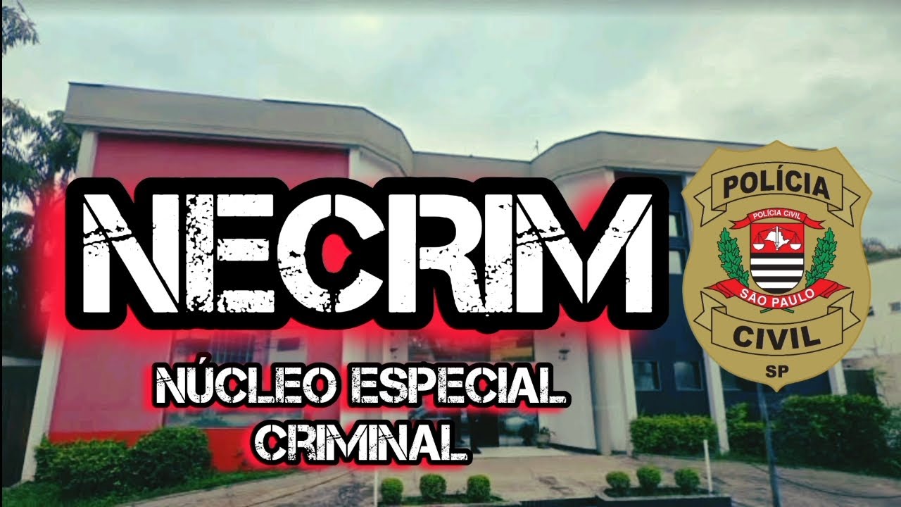90. O que &eacute; NECRIM?