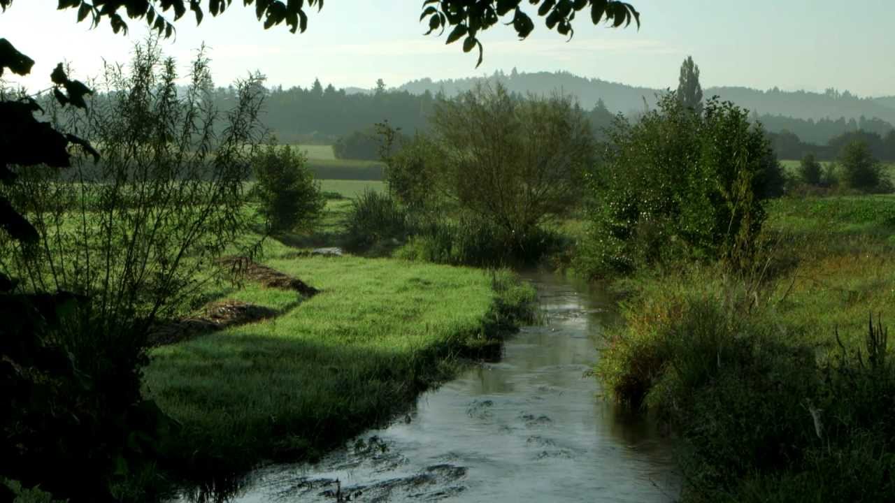 Renaturation des cours d'eau en Suisse (version longue)