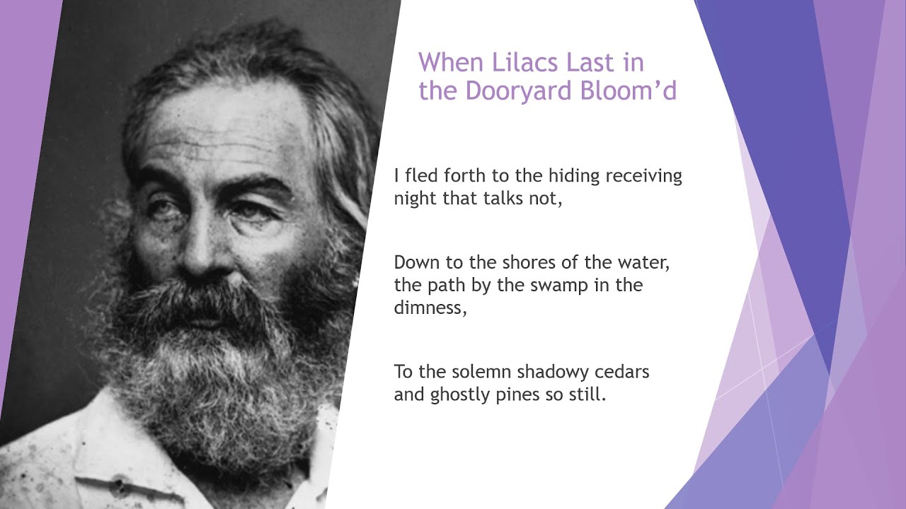 Lecture I on Walt Whitman’s “When Lilacs Last in the Dooryard Bloom’d”