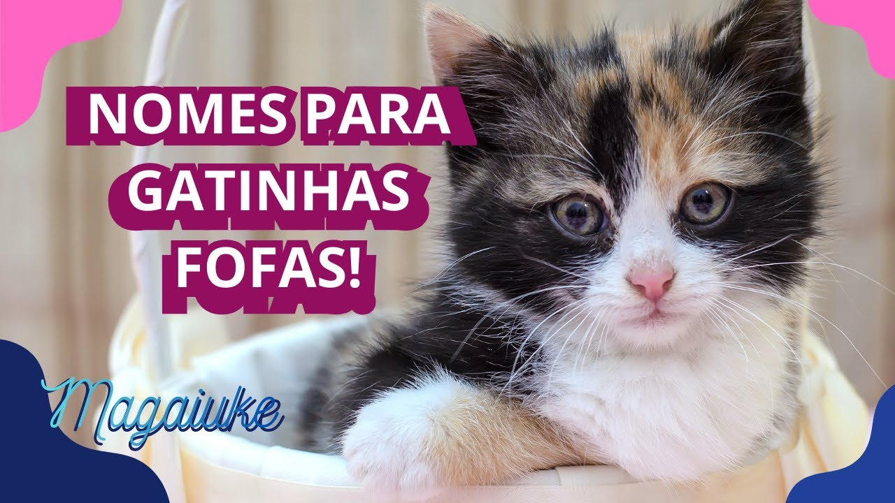 Nomes para Gatas Tricolores e Rajadas!
