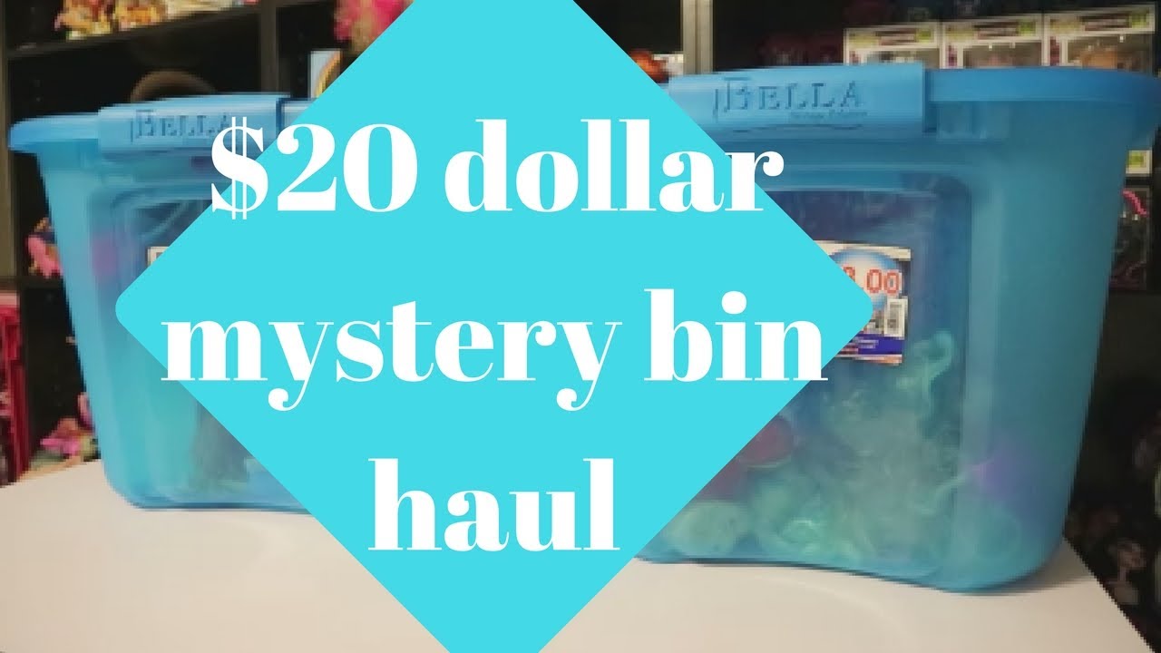 Whats in these bins?? | $20 dollar Letgo haul | Part 2