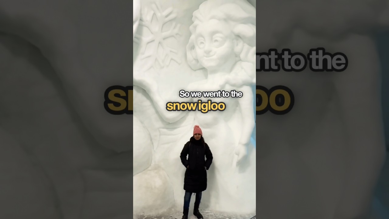 Snow ఇగ్లూ Zakopane #poland #teluguvlogslatest #igloo