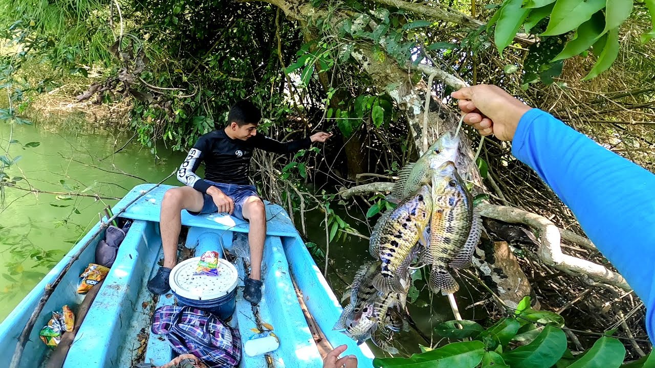 Un gran día de pesca y cocina muchos guapotes y algo mas