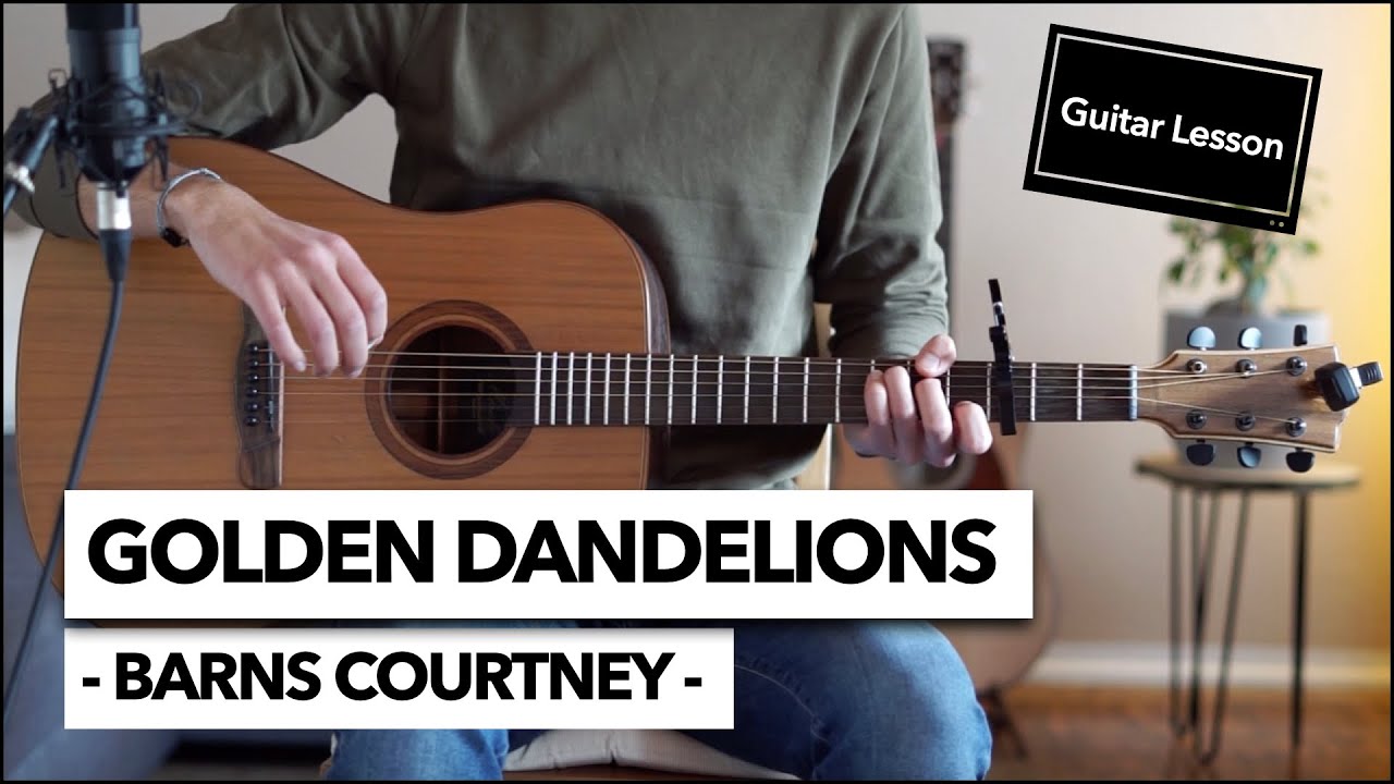 Golden Dandelions - Barns Courtney // Guitar Lesson (EASY BEGINNER SONG)
